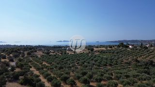 Οικόπεδο 25.227 τ.μ. για πώληση, Αργολίδα, Κρανίδι-thumb-10