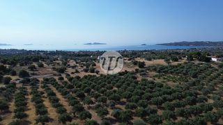 Οικόπεδο 25.227 τ.μ. για πώληση, Αργολίδα, Κρανίδι-thumb-11