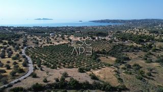 Οικόπεδο 25.227 τ.μ. για πώληση