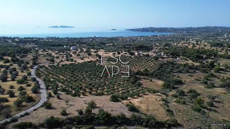 Οικόπεδο 25.227 τ.μ. για πώληση, Αργολίδα, Κρανίδι