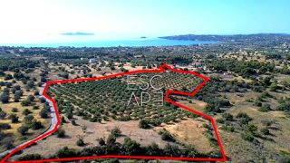 Οικόπεδο 25.227 τ.μ. για πώληση, Αργολίδα, Κρανίδι-thumb-1