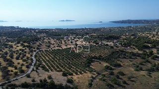Οικόπεδο 25.227 τ.μ. για πώληση, Αργολίδα, Κρανίδι-thumb-2