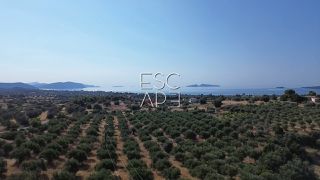 Οικόπεδο 25.227 τ.μ. για πώληση, Αργολίδα, Κρανίδι-thumb-4
