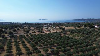 Οικόπεδο 25.227 τ.μ. για πώληση, Αργολίδα, Κρανίδι-thumb-5
