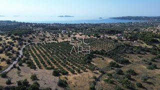 Οικόπεδο 25.227 τ.μ. για πώληση, Αργολίδα, Κρανίδι-thumb-9