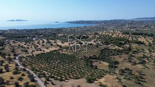 Οικόπεδο 25.227 τ.μ. για πώληση, Αργολίδα, Κρανίδι-thumb-10