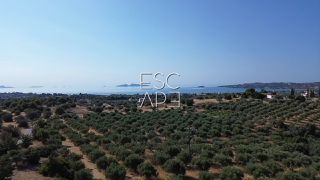 Οικόπεδο 25.227 τ.μ. για πώληση, Αργολίδα, Κρανίδι-thumb-11