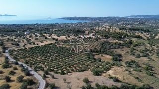 Οικόπεδο 25.227 τ.μ. για πώληση, Αργολίδα, Κρανίδι-thumb-12