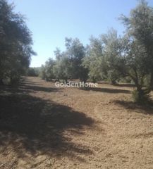 Οικόπεδο 15.500 τ.μ. για πώληση, Μεσσηνία, Ανδρούσα-thumb-2
