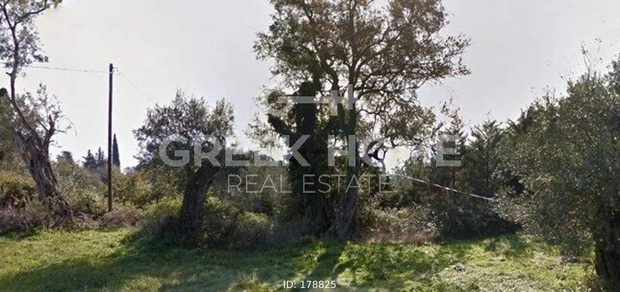 Οικόπεδο 1.443 τ.μ. προς πώληση, Αχίλλειο Κέρκυρας