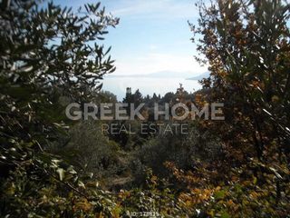 Οικόπεδο 1.443 τ.μ. για πώληση, Ν. Κέρκυρας, Κέρκυρα-thumb-7