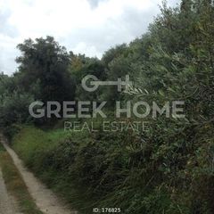 Οικόπεδο 1.443 τ.μ. για πώληση, Ν. Κέρκυρας, Κέρκυρα-thumb-6