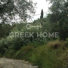 Οικόπεδο 1.443 τ.μ. για πώληση, Ν. Κέρκυρας, Κέρκυρα-thumb-4