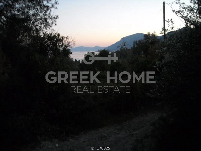 Οικόπεδο 1.443 τ.μ. προς πώληση, Αχίλλειο Κέρκυρας