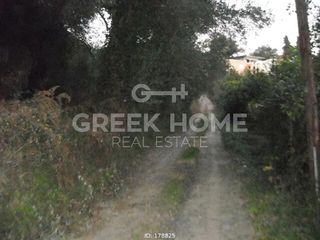 Οικόπεδο 1.443 τ.μ. για πώληση, Ν. Κέρκυρας, Κέρκυρα-thumb-5