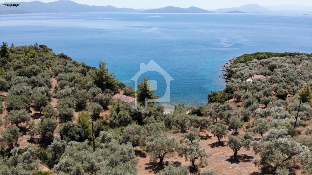 Αγροτεμάχια 10.000 τ.μ. πρός πώληση, Μαγνησία, Αργαλαστή