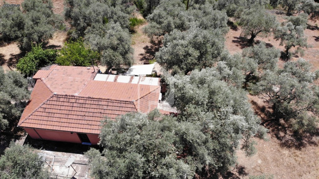 Αγροτεμάχια 10.000 τ.μ. πρός πώληση, Μαγνησία, Αργαλαστή