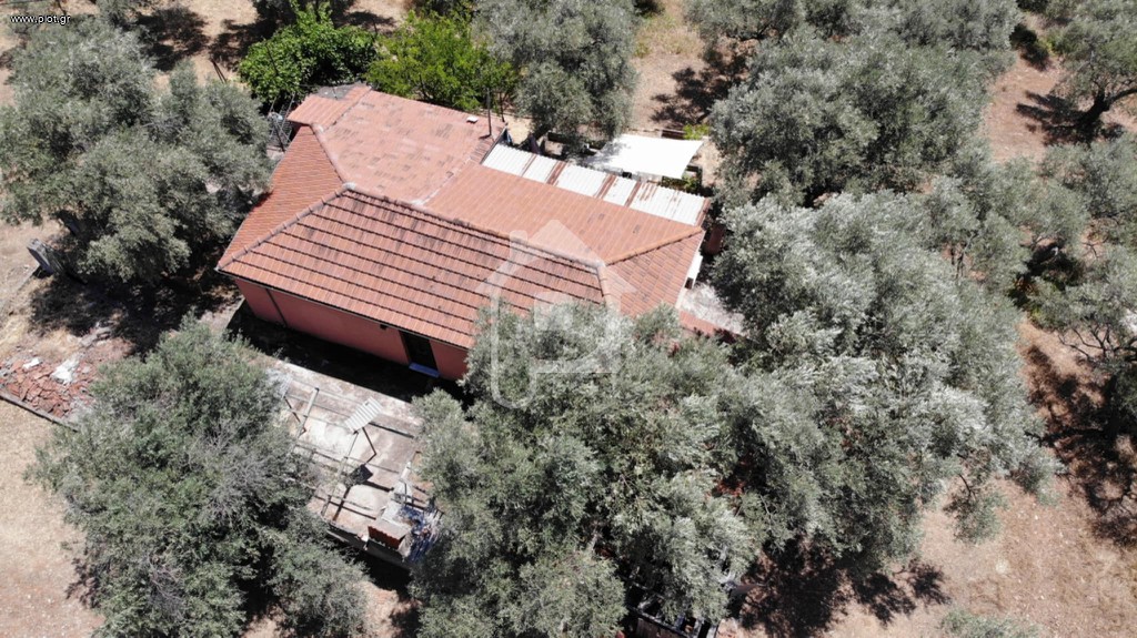 Αγροτεμάχια 10.000 τ.μ. πρός πώληση, Μαγνησία, Αργαλαστή