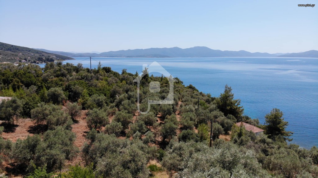 Αγροτεμάχια 10.000 τ.μ. πρός πώληση, Μαγνησία, Αργαλαστή