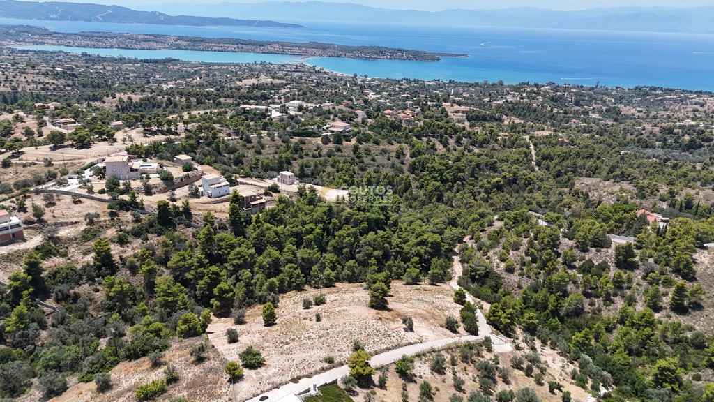 Αγροτεμάχια 7.622 τ.μ. προς πώληση, Αργολίδα, Κρανίδι