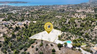 Αγροτεμάχια 7.622 τ.μ. για πώληση