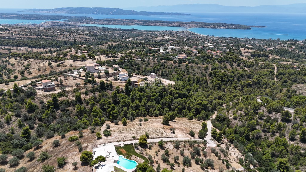 Αγροτεμάχια 7.622 τ.μ. προς πώληση, Αργολίδα, Κρανίδι
