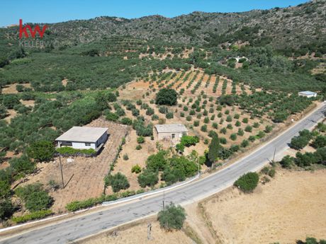 Αγροτεμάχια 1.081,49 τ.μ. προς πώληση