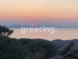 Οικόπεδο 7.700 τ.μ. για πώληση
