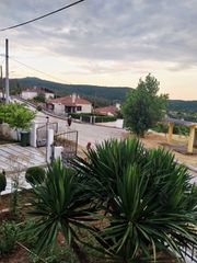 Μονοκατοικία 127 τ.μ. προς πώληση, Αρσάκειο Σαπών-thumb-14
