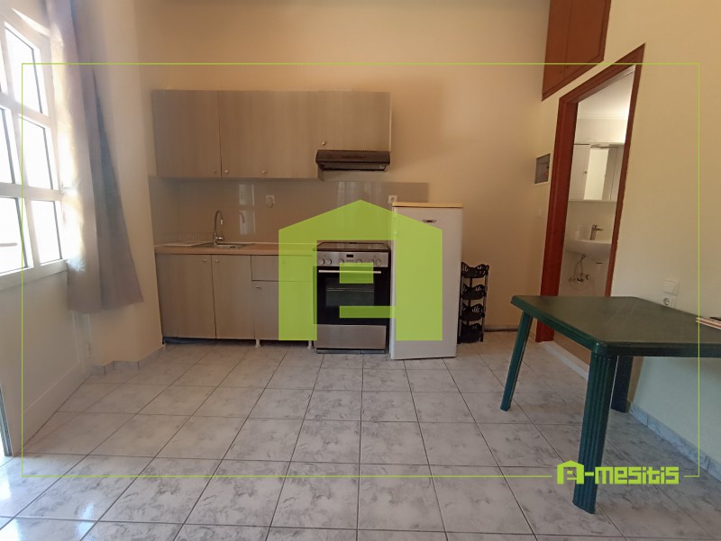 Διαμέρισμα 31 τ.μ. προς ενοικίαση, Καμίνια Βραχναιίκων