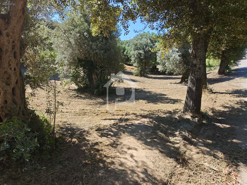 Οικόπεδο 970 τ.μ. προς πώληση, Οξύλιθος
