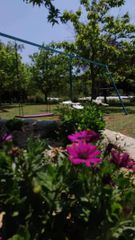 Οικόπεδο 15.000 τ.μ. για πώληση, Ν. Καβάλας, Ελευθερές-thumb-7