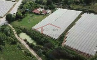 Οικόπεδο 15.000 τ.μ. για πώληση, Ν. Καβάλας, Ελευθερές-thumb-2