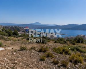 Οικόπεδο 1.300 τ.μ. για πώληση