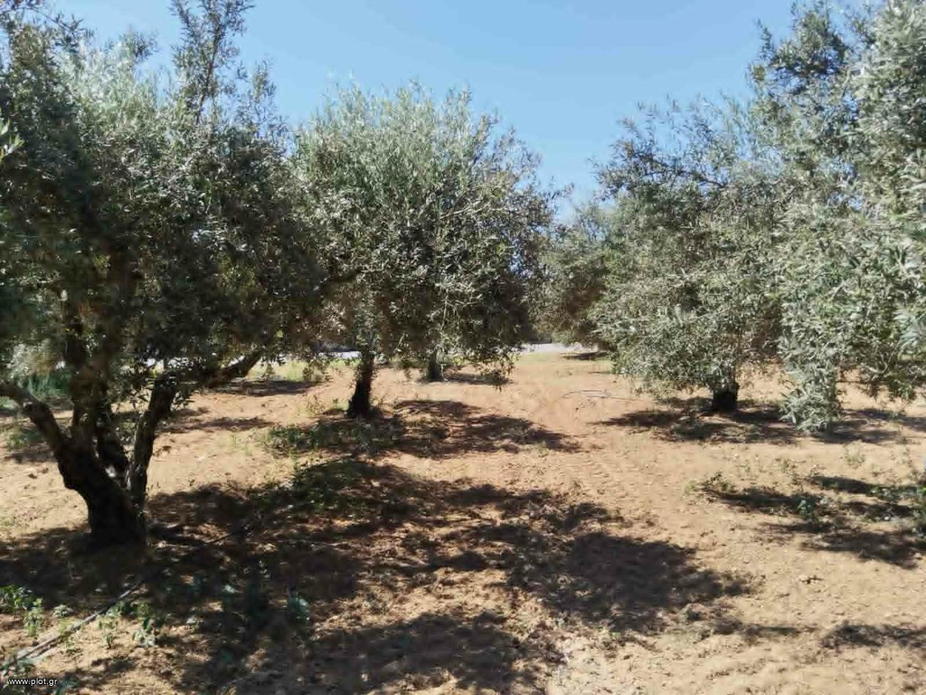 Οικόπεδο 1.100 τ.μ. προς πώληση, Σκλαβεροχώρι