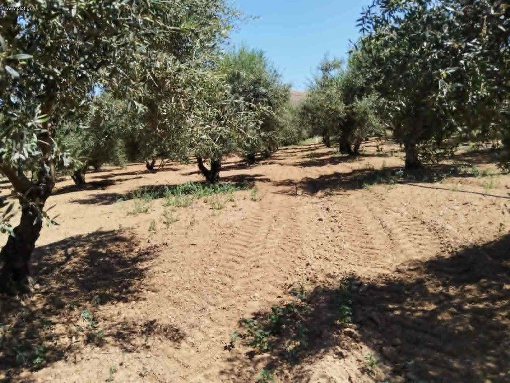Οικόπεδο 1.100 τ.μ. προς πώληση, Σκλαβεροχώρι