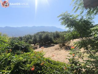 Μονοκατοικία 170,39 τ.μ. για πώληση, Ν. Σάμου, Σάμος-thumb-21