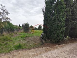 Οικόπεδο 4.050 τ.μ. για πώληση, Μεσσηνία, Κυπαρισσία-thumb-2