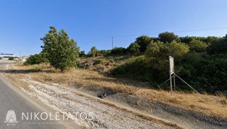 Αγροτεμάχια 8.155 τ.μ. για πώληση