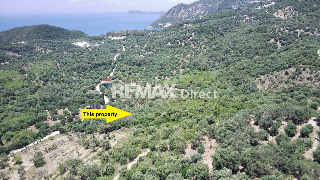Αγροτεμάχια 15.400 τ.μ. πρός πώληση, Θεσπρωτία, Πέρδικα