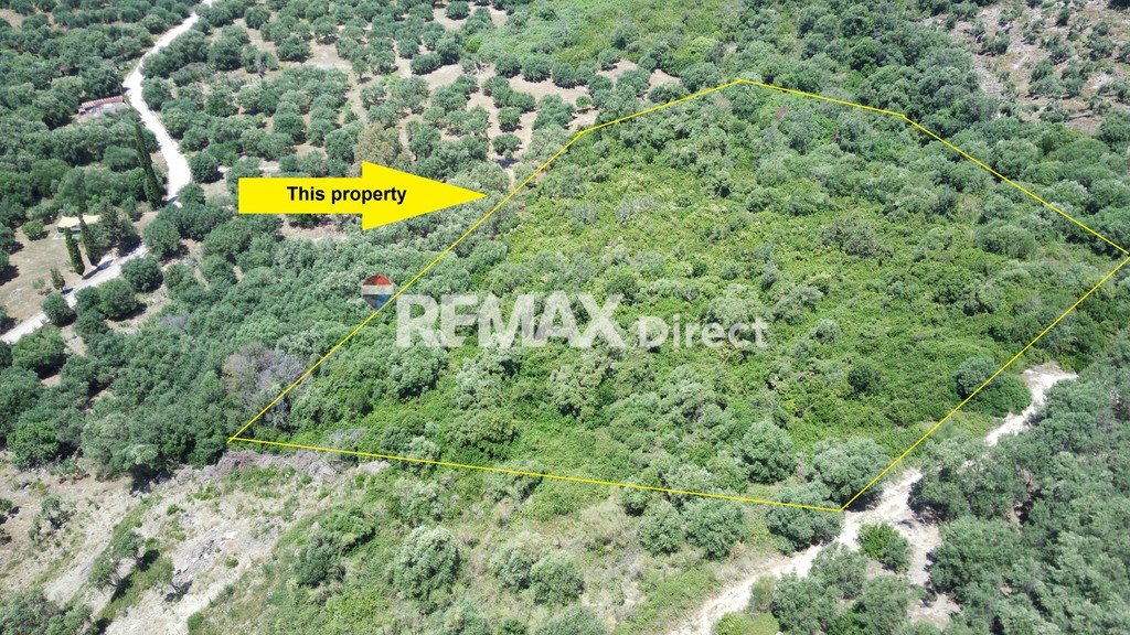 Αγροτεμάχια 15.400 τ.μ. πρός πώληση, Θεσπρωτία, Πέρδικα