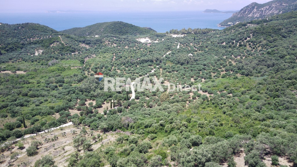 Αγροτεμάχια 15.400 τ.μ. πρός πώληση, Θεσπρωτία, Πέρδικα