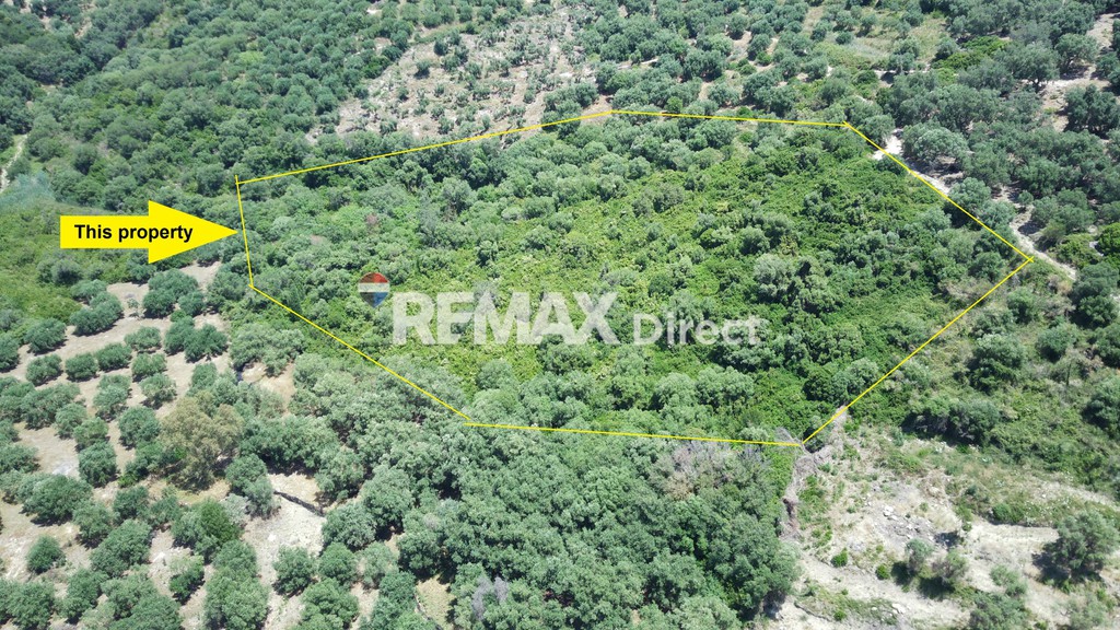Αγροτεμάχια 15.400 τ.μ. πρός πώληση, Θεσπρωτία, Πέρδικα