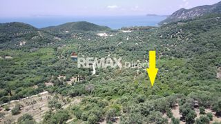 Αγροτεμάχια 15.400 τ.μ. για πώληση