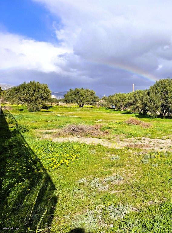 Οικόπεδο 1.021 τ.μ. πρός πώληση, Ν. Λασιθίου, Ιεράπετρα