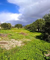 Οικόπεδο 1.021 τ.μ. για πώληση, Ν. Λασιθίου, Ιεράπετρα-thumb-5