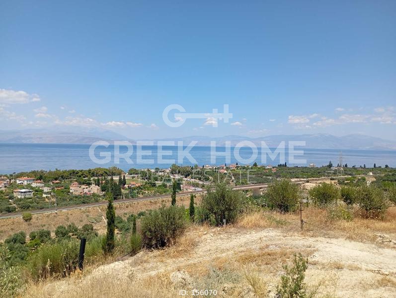 Οικόπεδο 2.400 τ.μ. προς πώληση, Λυκοποριά