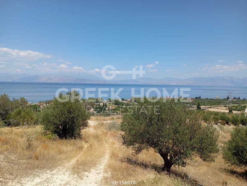 Οικόπεδο 2.400 τ.μ. προς πώληση, Λυκοποριά