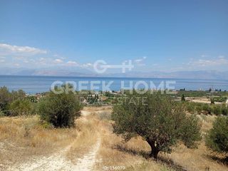 Οικόπεδο 2.400 τ.μ. για πώληση