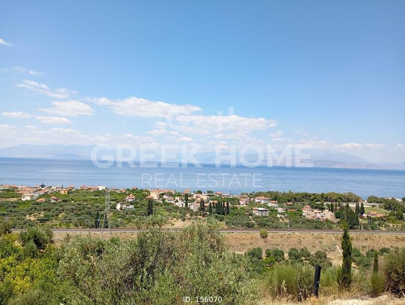 Οικόπεδο 2.400 τ.μ. προς πώληση, Λυκοποριά